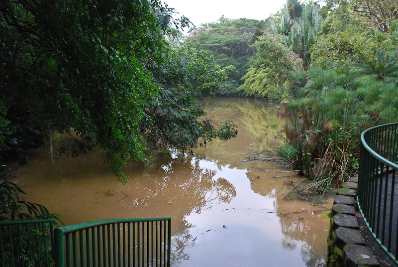 January 03, 2009