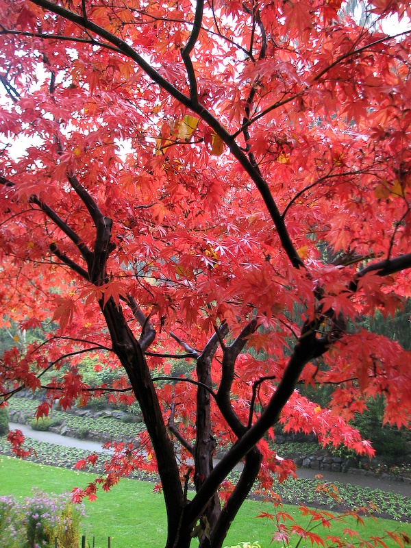 October 16, 2009