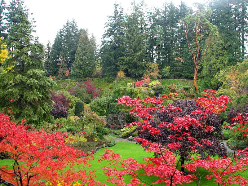 October 16, 2009