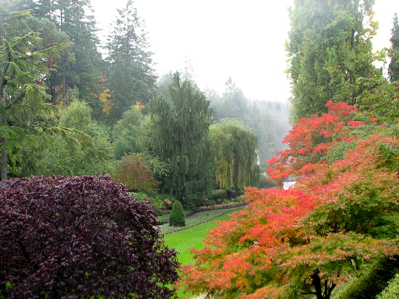 October 16, 2009