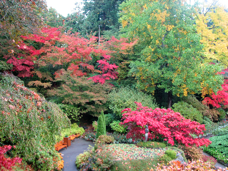 October 16, 2009