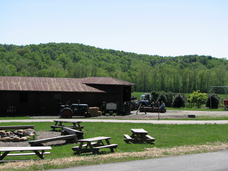 April 28, 2010