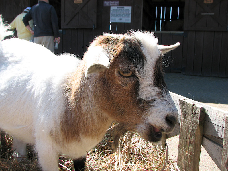 April 28, 2010
